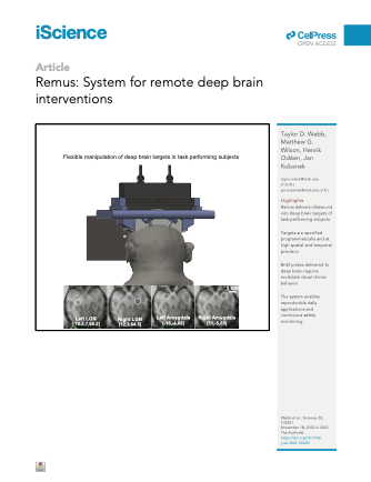 Remus: System for remote deep brain interventions.